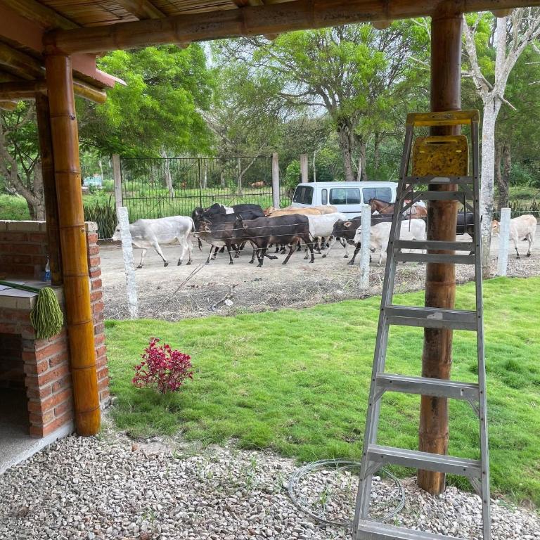 Country House Olon, 3 rooms, guarded neighborhood - Casa - 12