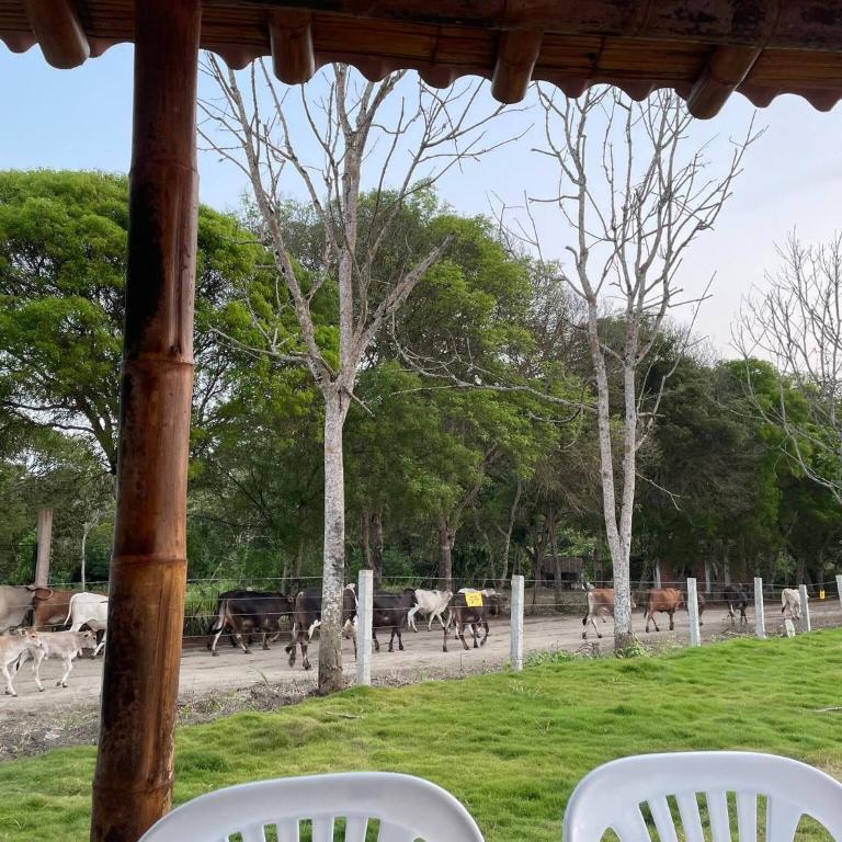 Country House Olon, 3 rooms, guarded neighborhood - Casa - 13