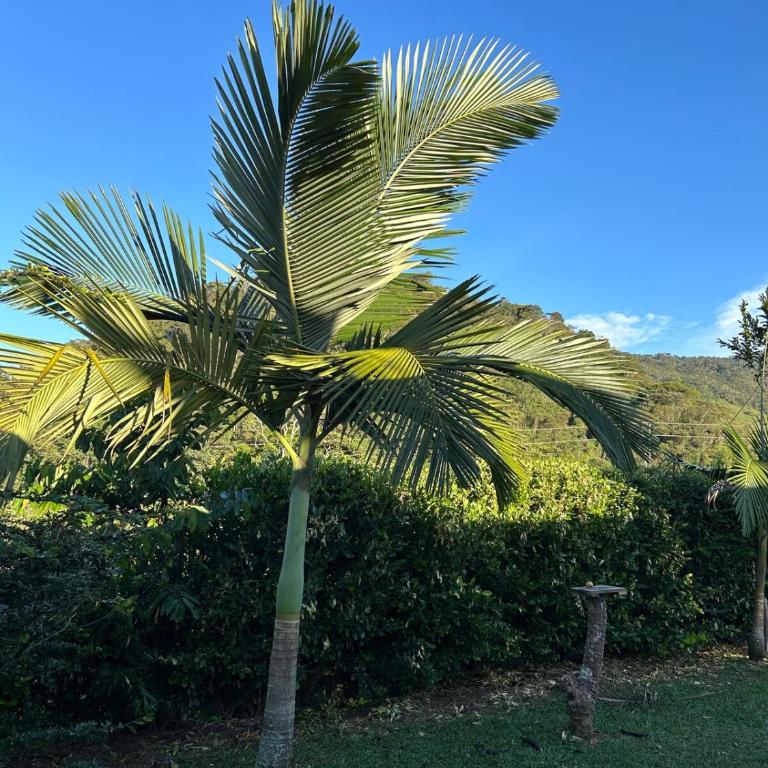 Cabaña en San Rafael Cerca de Ríos y Naturaleza - Three-Bedroom House - 41