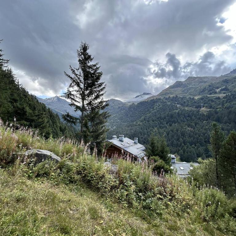Appartement confortable 4/6 pers. à Méribel, proche pistes - FR-1-355-275 - Appartamento - 14