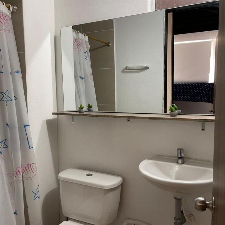apulo - Apartamento de 3 dormitorios - 1