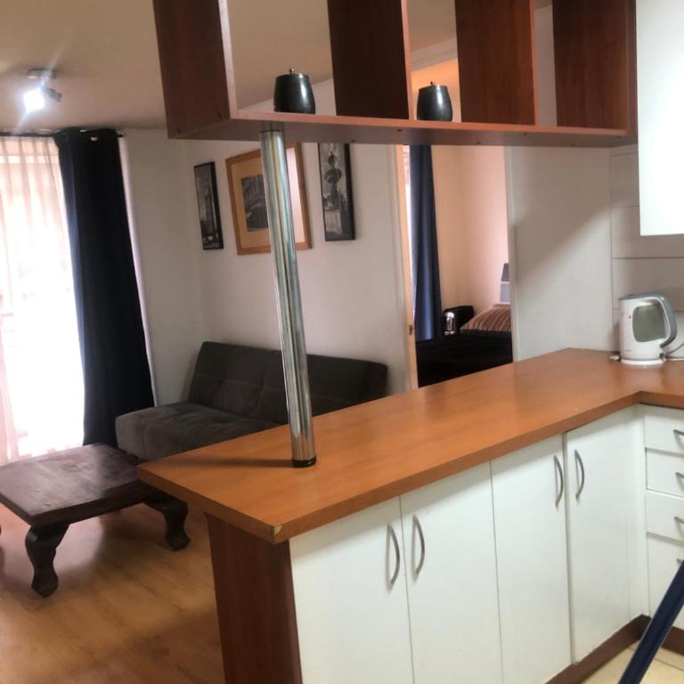 Apart Cerro San Cristóbal - One-Bedroom Apartment - 10