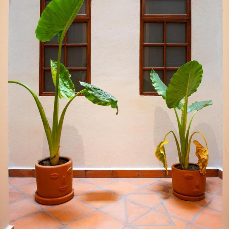 DH3 VIP & Luxurious 2beds APT in Historic Center - One-Bedroom Apartment - 2