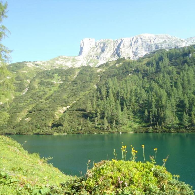 Wohnung Tauplitz nahe Skilift & Pisten - Apartment mit 2 Schlafzimmern - 28