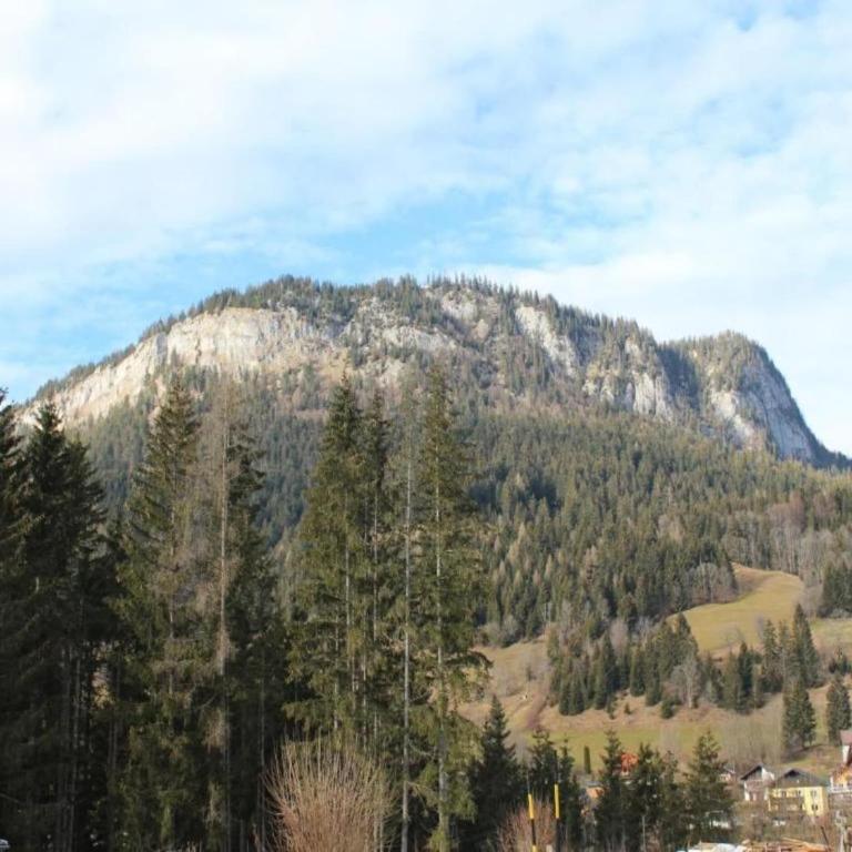 Wohnung Tauplitz nahe Skilift & Pisten - Apartment mit 2 Schlafzimmern - 25