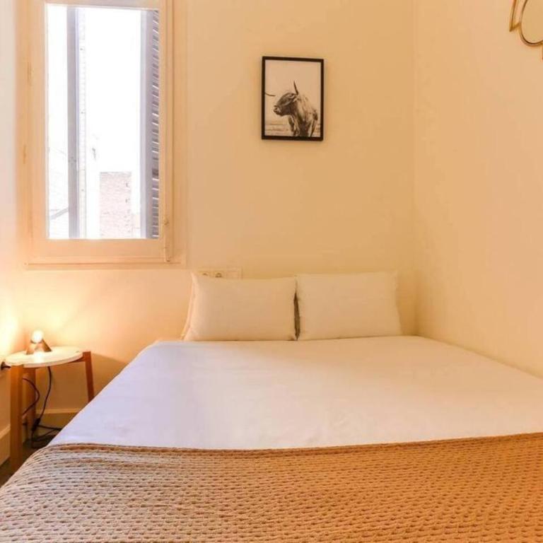 Stylish 2 Bdr In Trendy Gracia - Apartment - 14