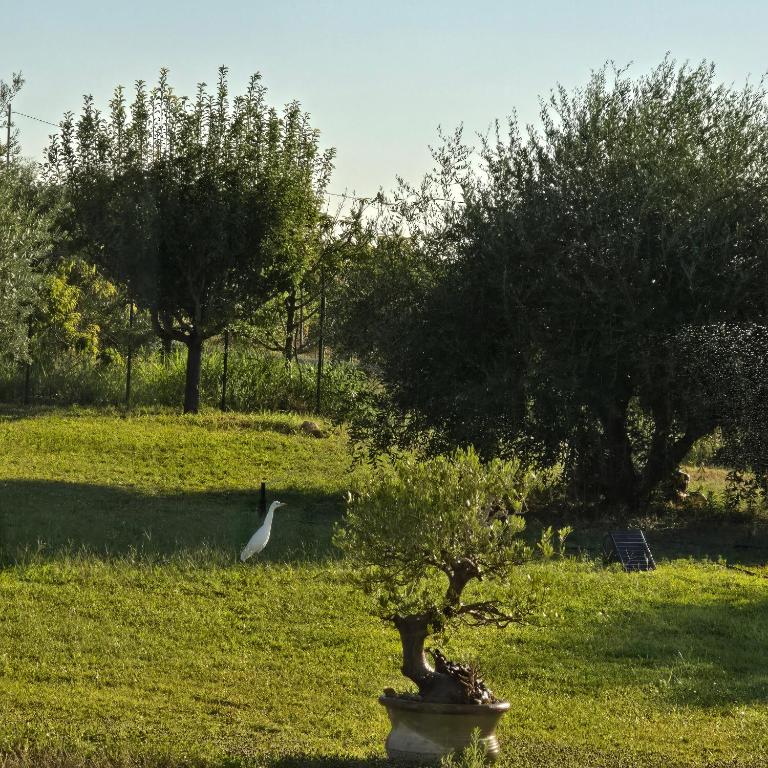 I Secolari di Giulia 2 - Appartamento - Piano Terra - 30