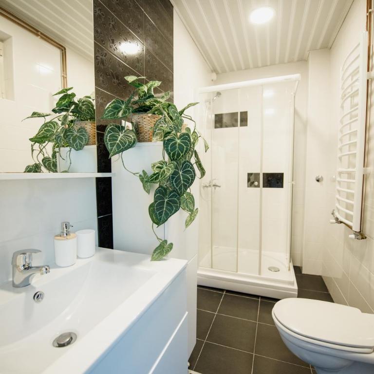 Villa Danigo - Three-Bedroom Superior Apartment - 30