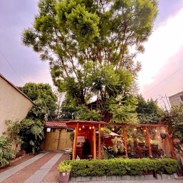 Casita del Árbol - Triple Room - 1