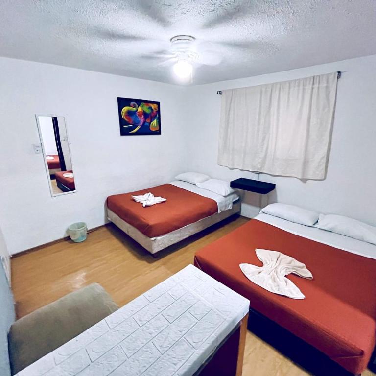 Casita del Árbol - Family Room - 13