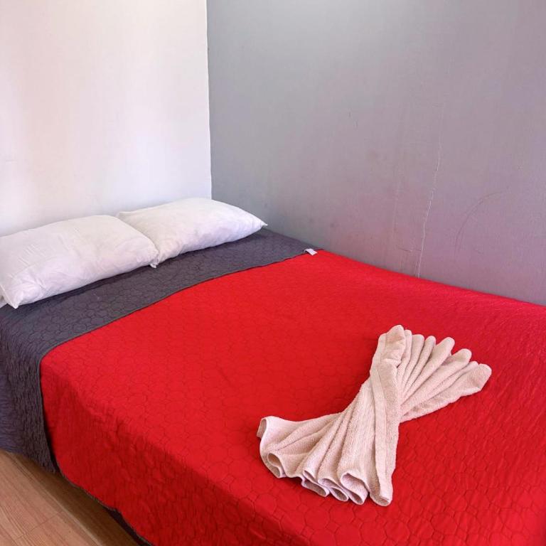 Casita del Árbol - Double Room - 12