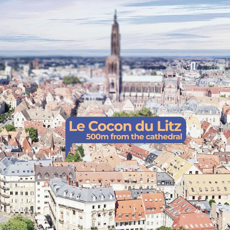 Le Cocon du Litz - 2 pièces de charme centre historique - Appartamento con 1 Camera da Letto - 14