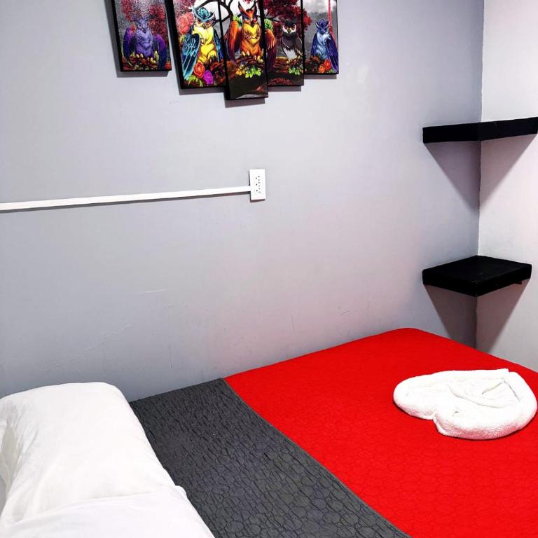 Casita del Árbol - Double Room - 12