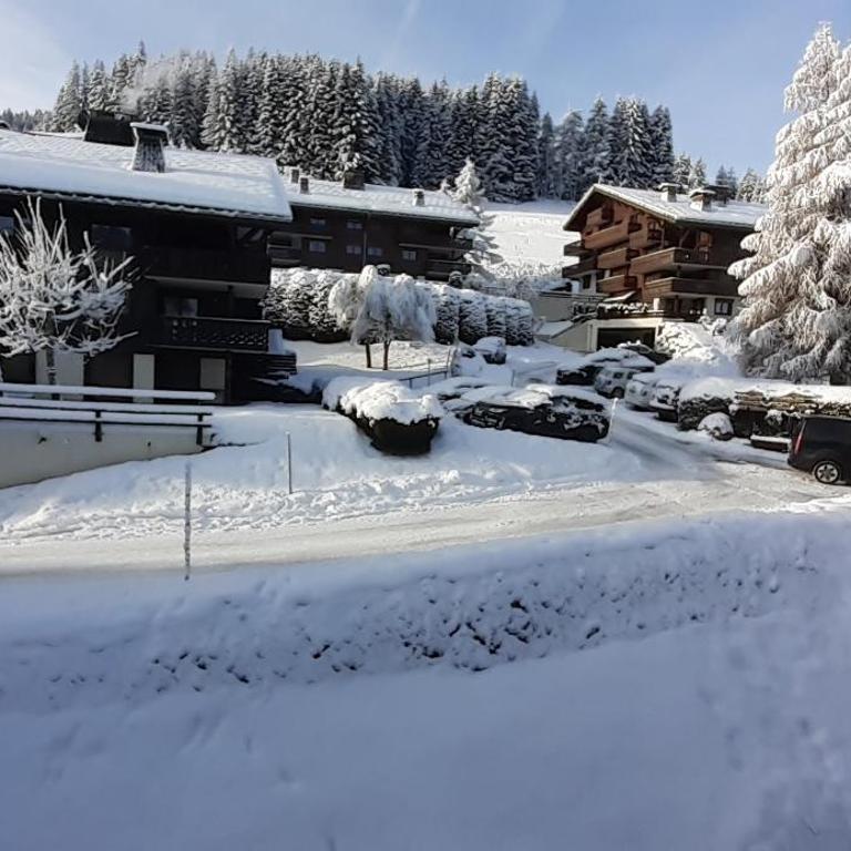 Nid douillet rénové sur les pistes ski in out - Apartment mit 3 Schlafzimmern - 25