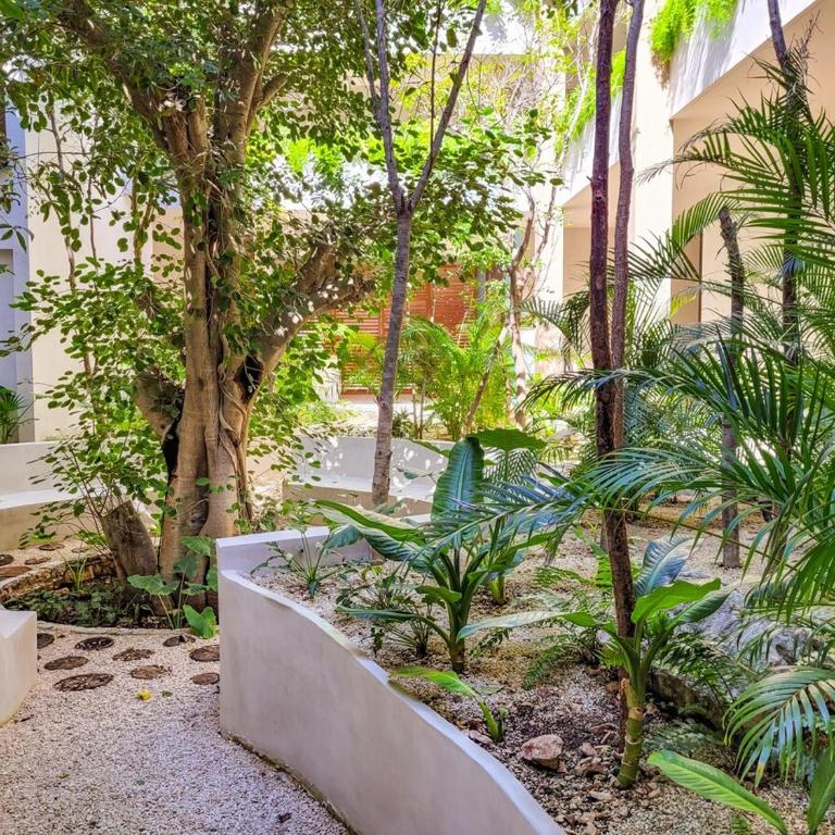 Renta Depa 1 Hab en La Veleta Tulum - One-Bedroom Apartment - 16