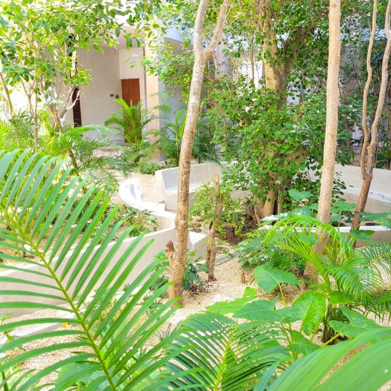 Renta Depa 1 Hab en La Veleta Tulum - One-Bedroom Apartment - 29