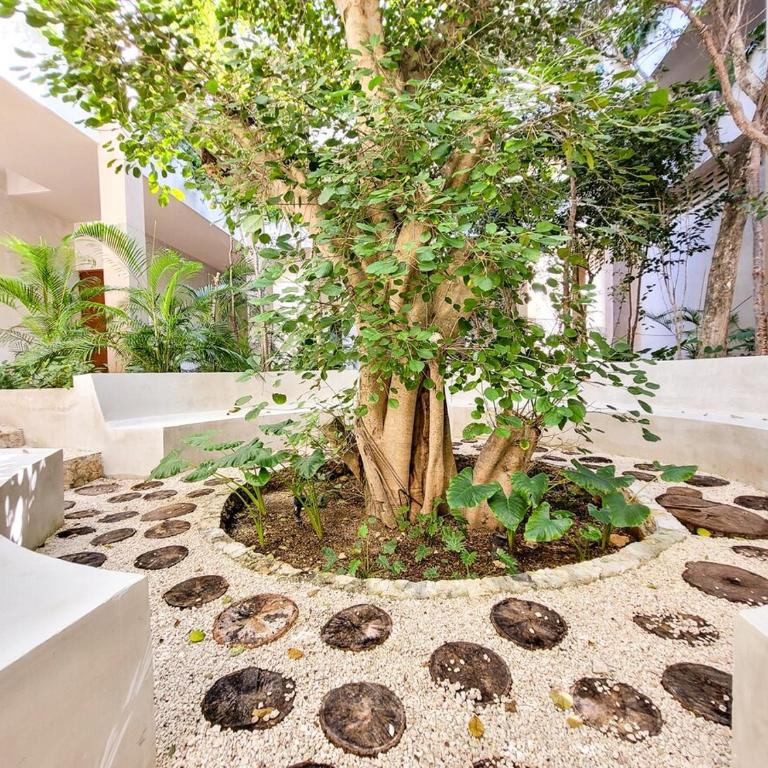 Renta Depa 1 Hab en La Veleta Tulum - One-Bedroom Apartment - 32