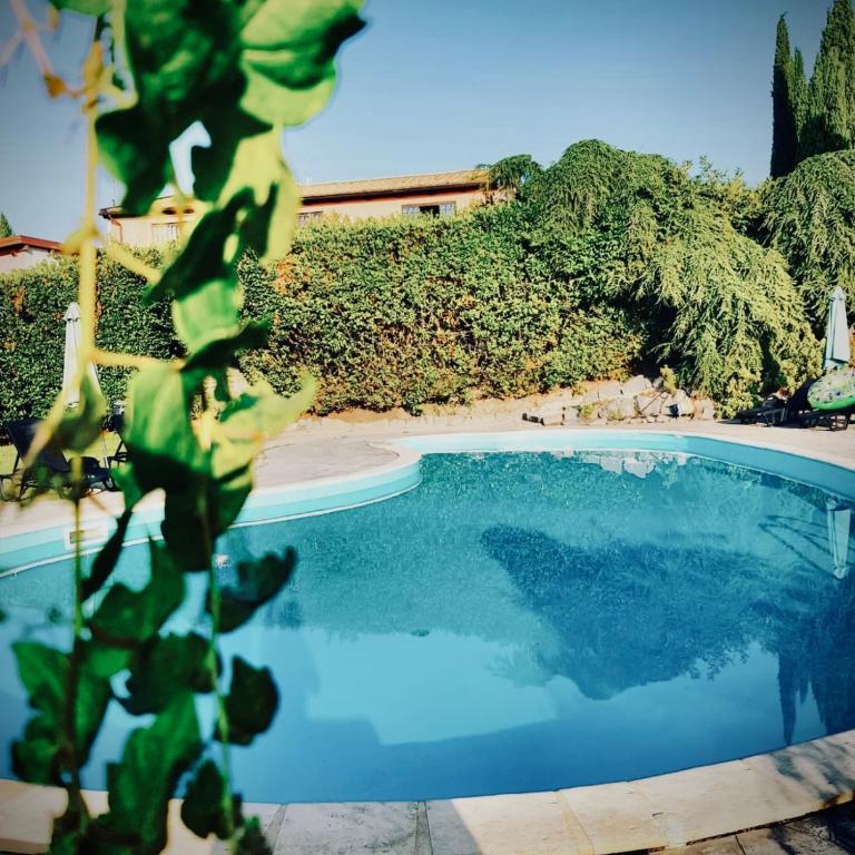Agriturismo Corte Sakura - Appartamento con 1 Camera da Letto - 7