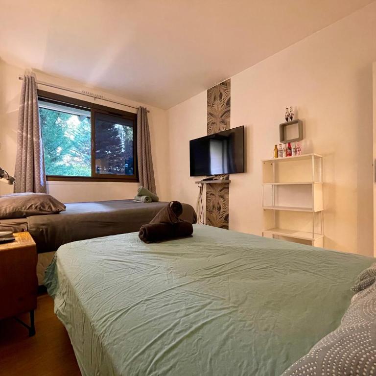 Tour Eiffel Francois Gerard - Appartement 2 Chambres - 10