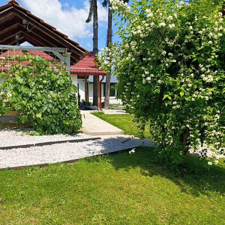 Holiday Home Tunnel Ravne - One-Bedroom House - 34