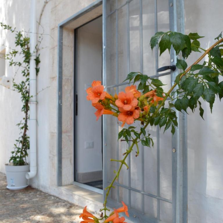 La Stradella Ostuni Country - Camera Matrimoniale - 19