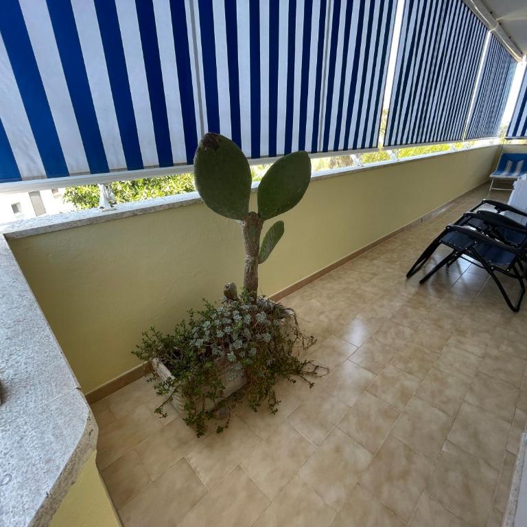 Gallipoli Beach Resort Attico a Gallipoli sul mare - Casa con 2 Camere da Letto - 44