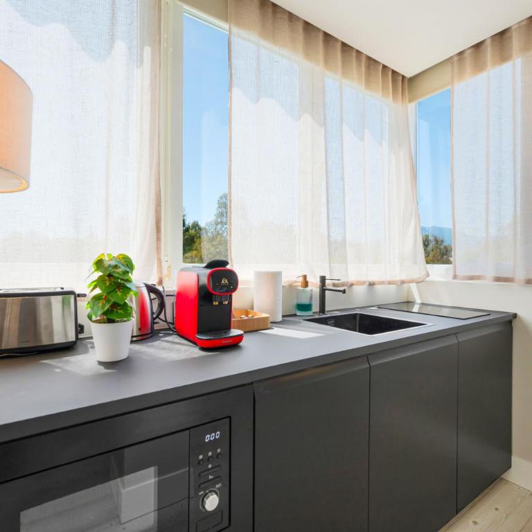 Luminoso loft con piscina en Puerto Banús - Apartamento de 1 dormitorio - 5