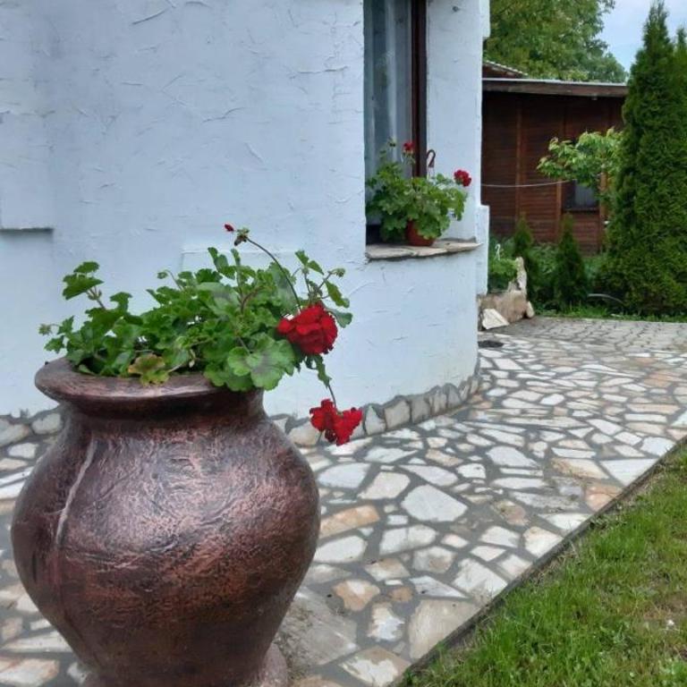 Castelo 2025 - Dvokrevetna Soba sa Zasebnim Krevetima - 3