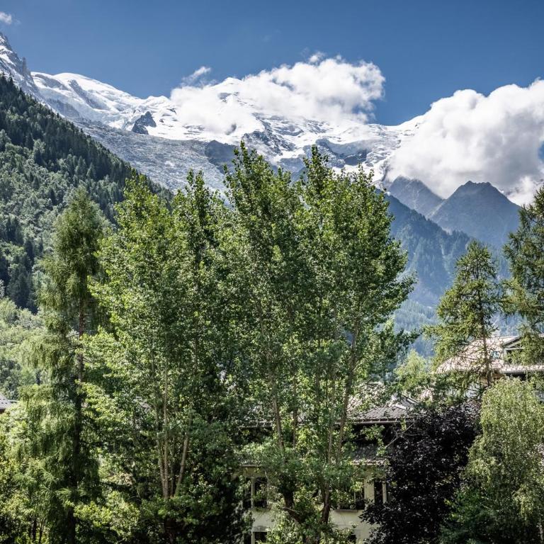 Eden Studios Chamonix Centre - Iris studio partial Mont-blanc view - 11