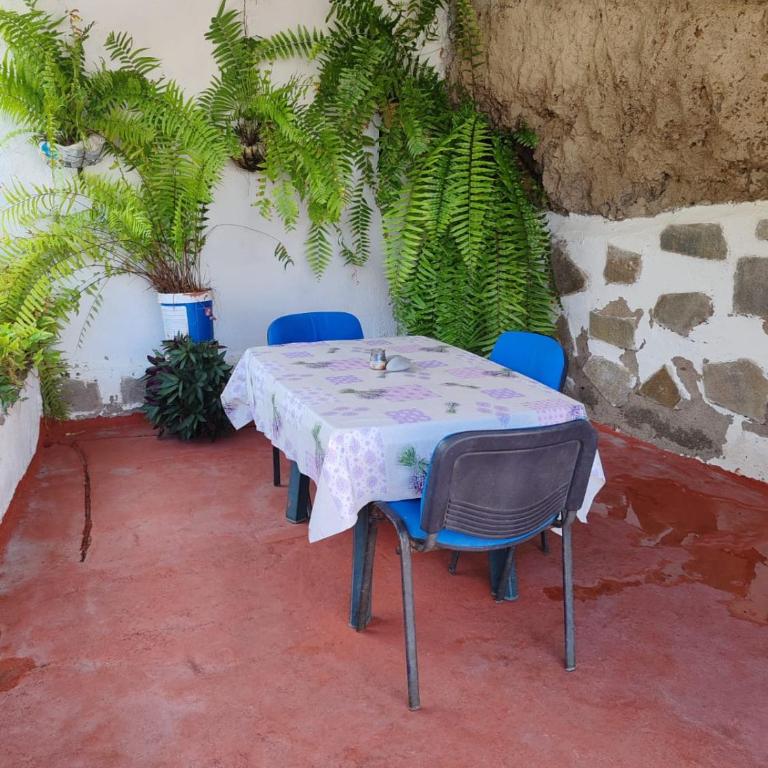 House Rural,Biosphere Reserve World.Taganana.Tfe. - Casa de 2 dormitorios - 8
