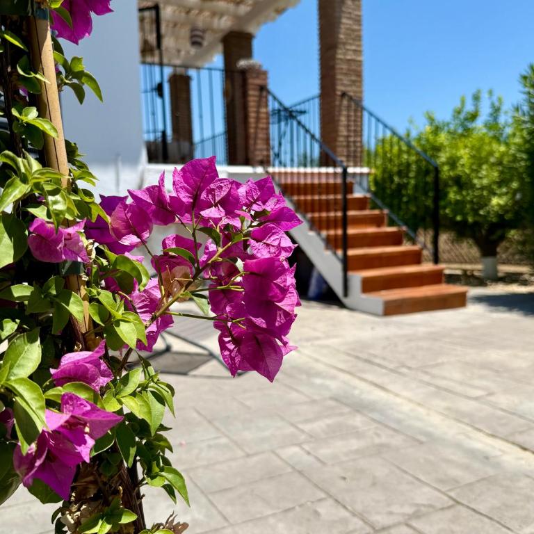 Casa Ankie - Three-Bedroom Home - 13