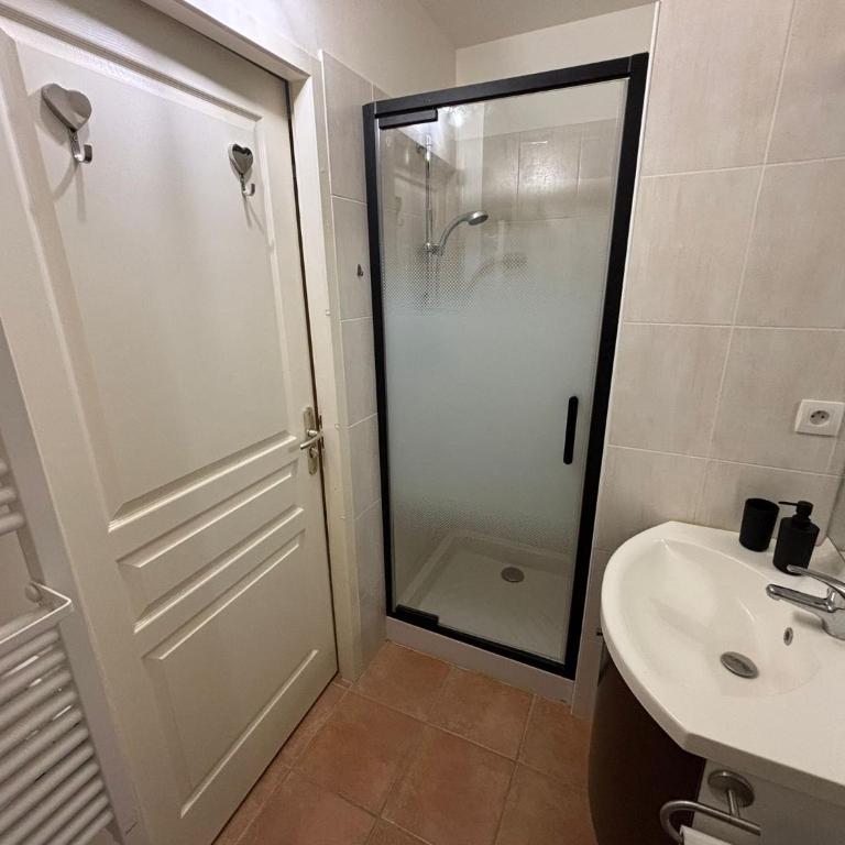 A louer Pra loup 1600 ! - Appartement 1 Chambre - 7