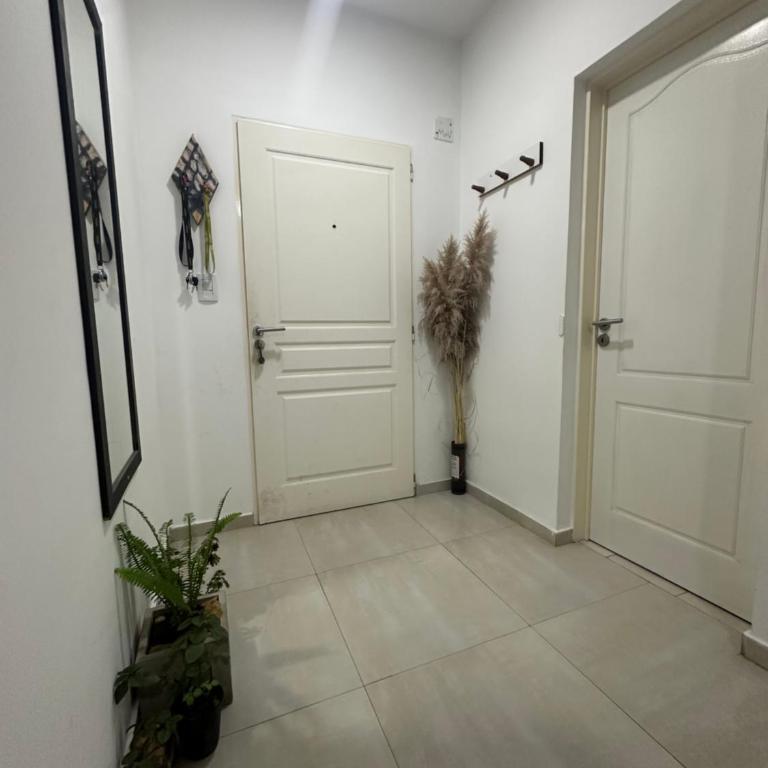 Aurea - Apartamento de 1 dormitorio - 3