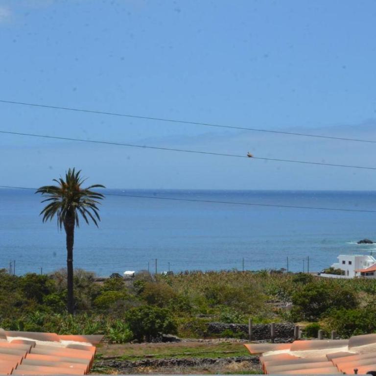 Apartamento Heliconia 1 - Apartamento de 1 dormitorio - 17