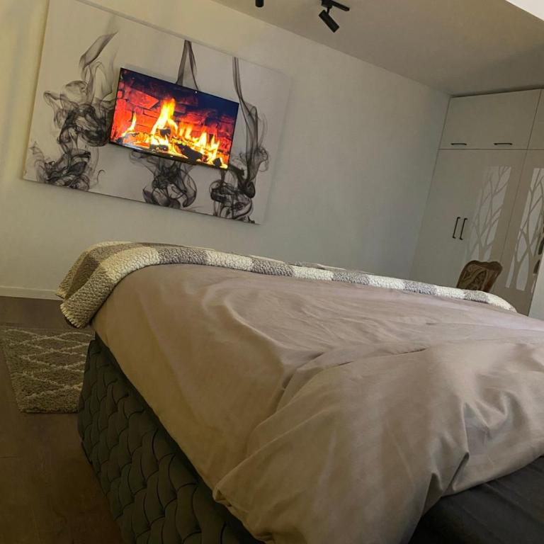 Marigold Centar NS - One-Bedroom Apartment - 17