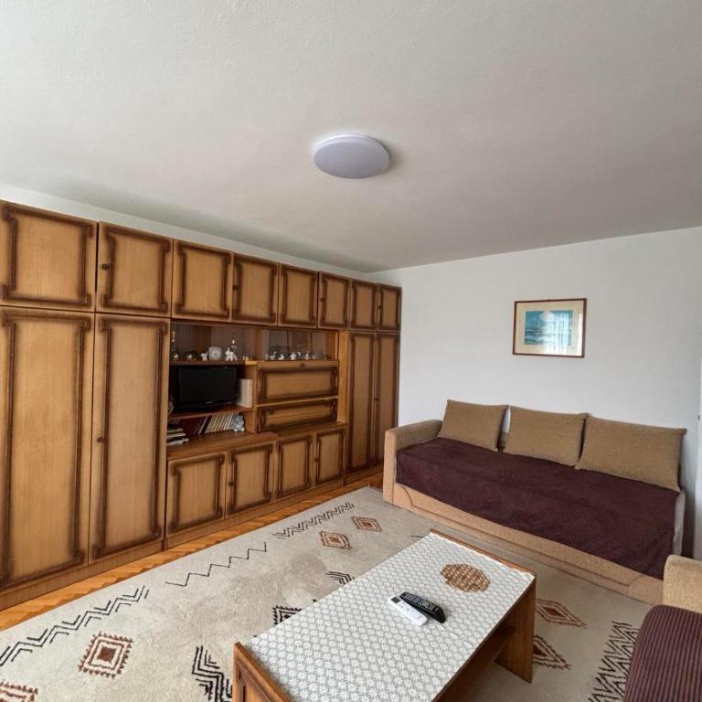 Apartment Vilsonovo, Pofalici with Free Parking - One-Bedroom Apartment - 7