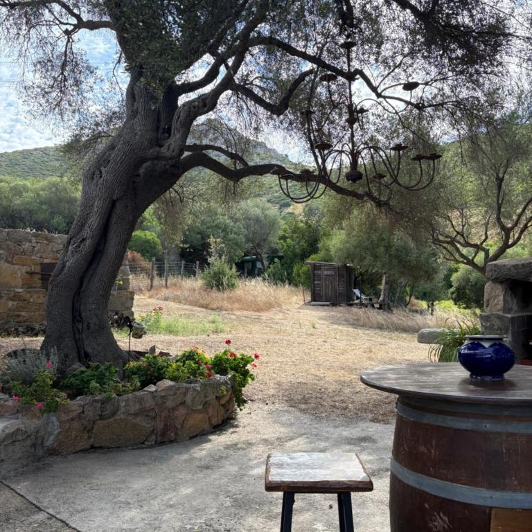 Bergerie de Charme Pedi Lione - Villa 2 Chambres - 56