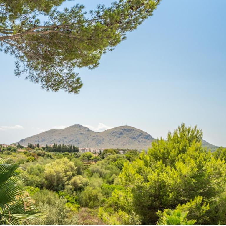 Traumhafte Villa Violeta am Meer für 8 Gäste - Villa - 29