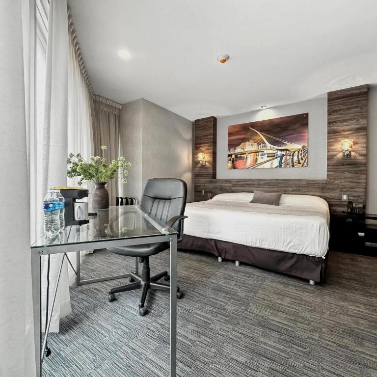 Elite 47 Interlomas - Estudio con cama extragrande - 5