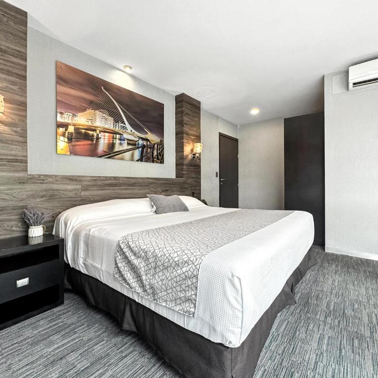 Elite 47 Interlomas - Estudio con cama extragrande - 6