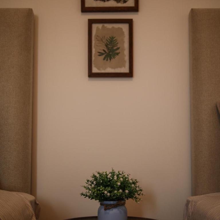 Brand new apartment in Olivar of San Felipe - Two-Bedroom Apartment - 11