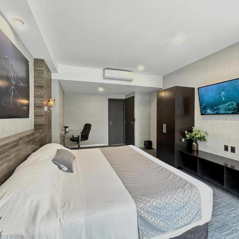 Elite 47 Interlomas - Habitación Individual - 7