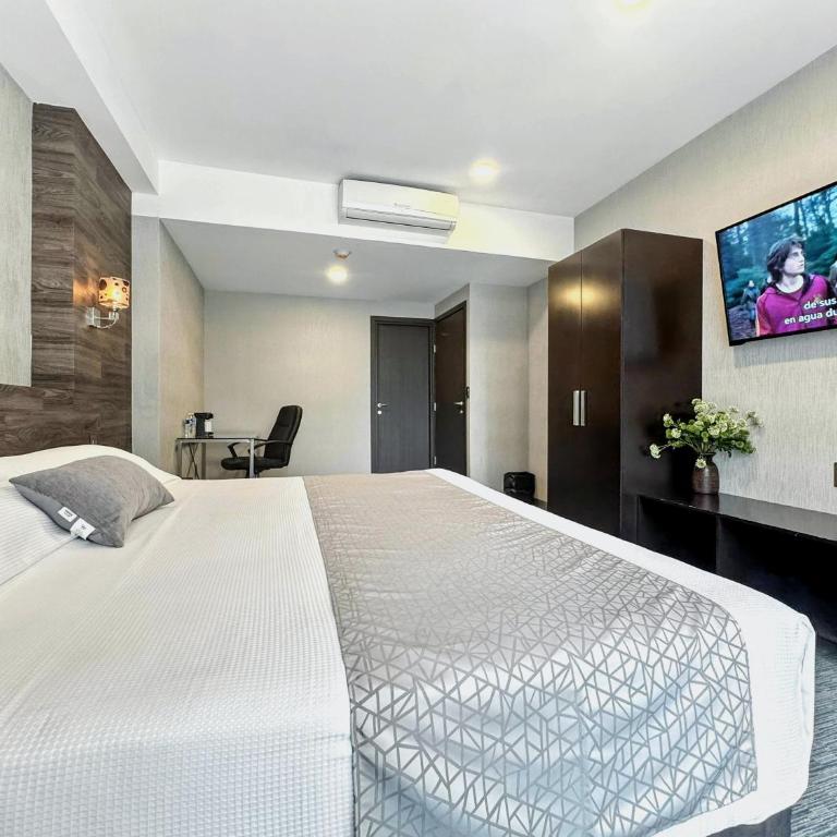 Elite 47 Interlomas - Habitación Individual - 4