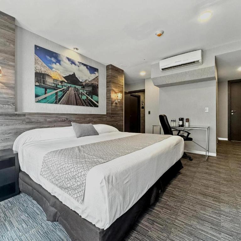 Elite 47 Interlomas - Habitación Deluxe con cama extragrande - 16