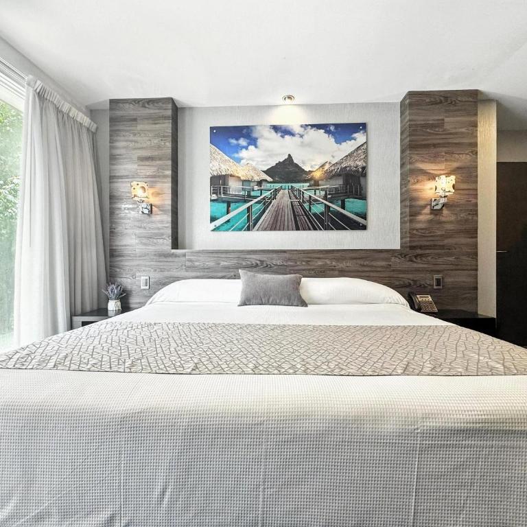 Elite 47 Interlomas - Habitación Deluxe con cama extragrande - 12