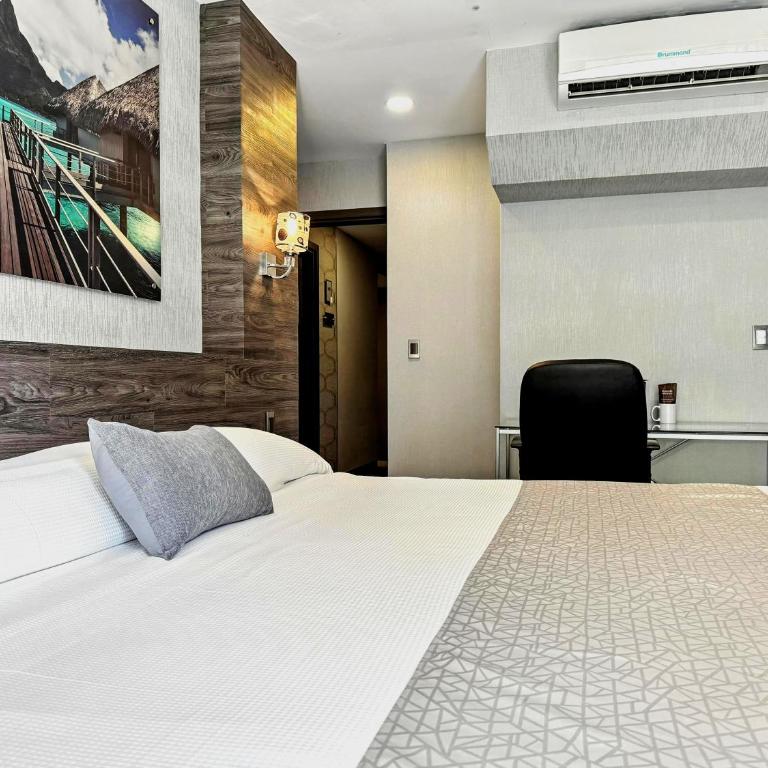 Elite 47 Interlomas - Habitación Deluxe con cama extragrande - 14
