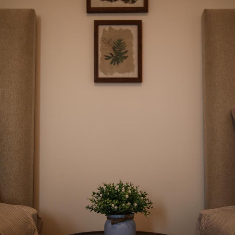 Brand new apartment in Olivar of San Felipe - Two-Bedroom Apartment - 18