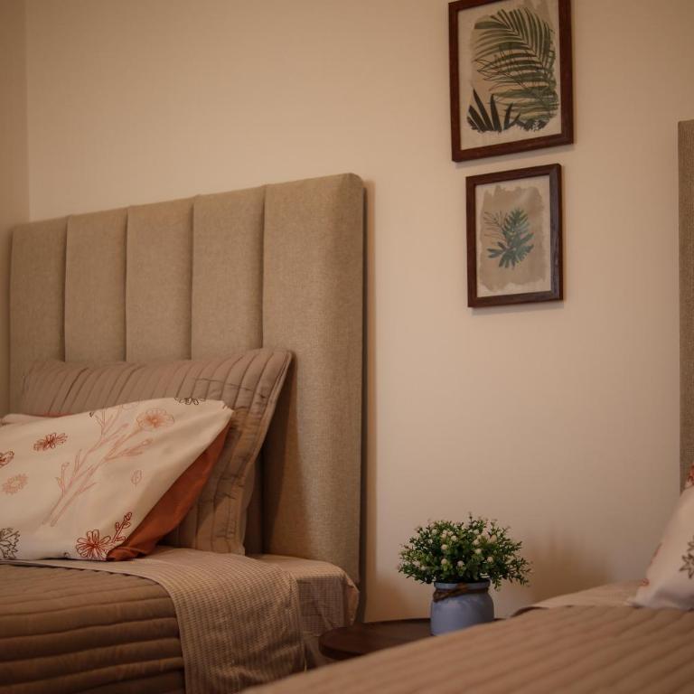 Brand new apartment in Olivar of San Felipe - Two-Bedroom Apartment - 53