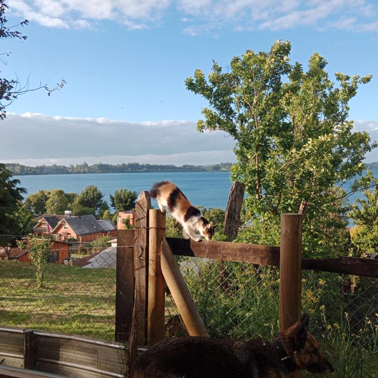 Cabaña Génesis - Apartamento de 1 dormitorio - 4