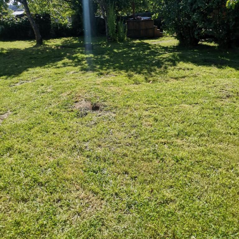 Cabaña Génesis - Apartamento de 1 dormitorio - 8